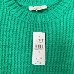 LOFT Chunky Sweater